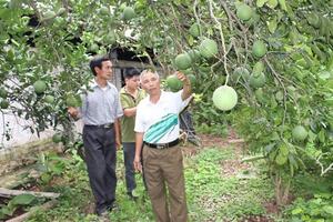 Người bệnh binh nuôi chí làm giàu