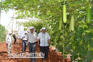 Đồng Nai: Huy động vốn ngoài ngân sách cho nghiên cứu