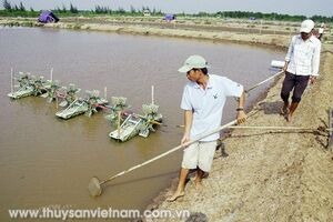 Tăng cường quản lý dịch bệnh