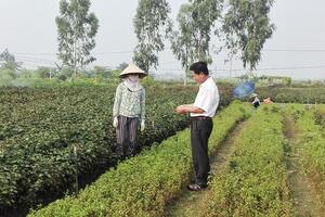 Quản lý rau an toàn theo mô hình cộng đồng