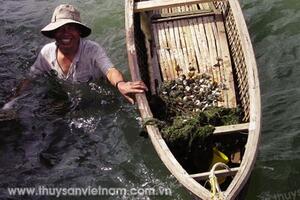 Bền vững mô hình rong biển - thủy sản