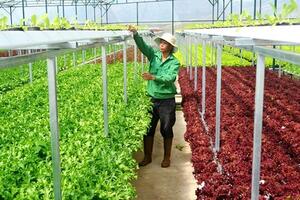 Bà Rịa - Vũng Tàu đẩy mạnh phát triển nông nghiệp ứng dụng công nghệ cao