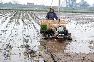 Thái Bình, Hà Nam được chọn để thí điểm cơ chế tích tụ đất đai