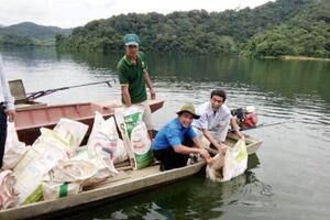 Đăk Lăk: Thả 32.000 con cá giống tái tạo nguồn lợi thủy sản tại hai huyện KrôngNa và huyện Lăk