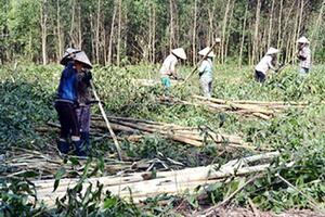 Những thương binh làm kinh tế giỏi