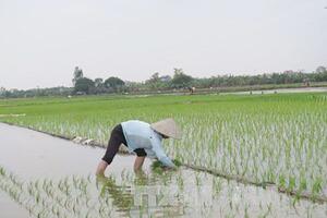 Trà Vinh tái cơ cấu nông nghiệp ở 6 lĩnh vực