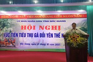 Đẩy mạnh xúc tiến tiêu thụ gà đồi Yên Thế