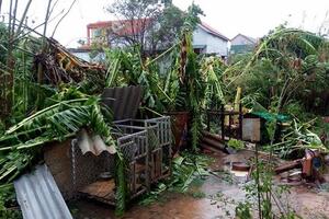Khánh Hòa: Bão số 12 gây thiệt hại trên 13.500 tỷ đồng