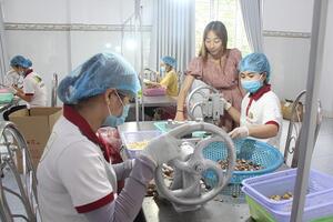 Khẳng định thương hiệu "Mắc ca Krông Năng"