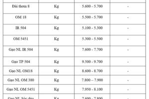 Giá lúa gạo hôm nay ngày 10/11: Thị trường lặng sóng