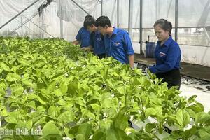 Nông nghiệp công nghệ cao - con đường tất yếu