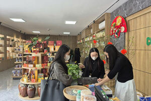 Nghệ An: Sản phẩm OCOP, thực phẩm truyền thống đắt hàng dịp Tết