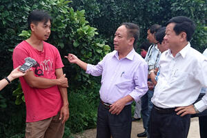Trái cây miền Tây ngóng... liên kết