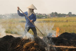 Đốt rơm rạ: Lợi & hại