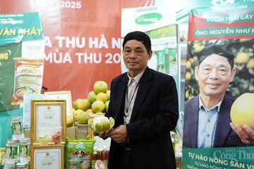 Người nông dân 70 tuổi và hành trình chuyển đổi số trong vùng trồng bưởi Hà Nội