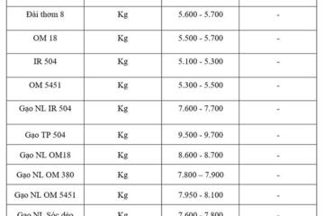 Giá lúa gạo hôm nay ngày 11/11: Gạo bình ổn, lúa tươi vững giá