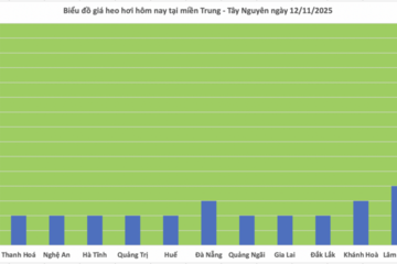 Giá heo hơi hôm nay 12/11/2025: Tiếp tục giảm nhẹ nhiều nơi