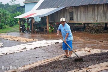 Thoát nghèo nhờ chính sách hỗ trợ