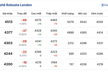 Giá cà phê hôm nay 27/11/2025: Bật tăng trở lại