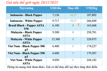 Giá tiêu hôm nay 28/11/2025: Trong nước đi ngang