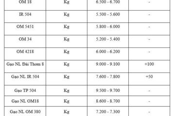 Giá lúa gạo hôm nay ngày 6/1: Gạo xuất khẩu tiếp đà tăng