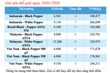 Giá tiêu hôm nay 16/1/2026: Quay đầu giảm