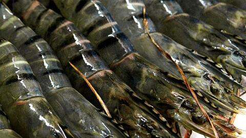 Việt Nam là thị trường cung cấp thủy sản lớn thứ 5 cho Nhật