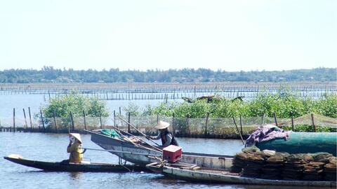 Tái diễn nạn khai thác hủy diệt thủy sản