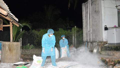 Tây Ninh triển khai Tháng tổng vệ sinh, khử trùng, tiêu độc môi trường phòng, chống dịch bệnh gia súc, gia cầm 