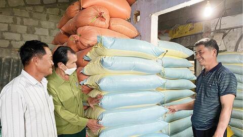 Cựu chiến binh giúp nhau làm giàu