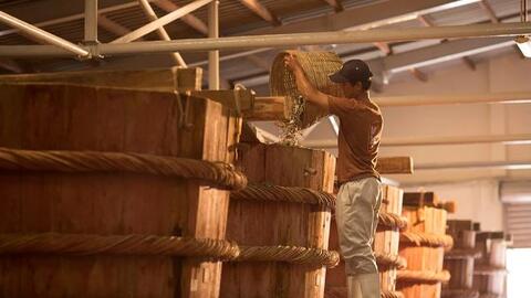 Khai thác và phát triển nguồn gen vi sinh vật tạo hương để sản xuất một số loại nước mắm đặc sản