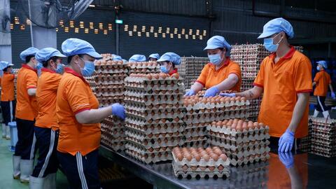 Chuyển đổi số nông nghiệp: Tăng tốc để bắt kịp tăng trưởng xanh 