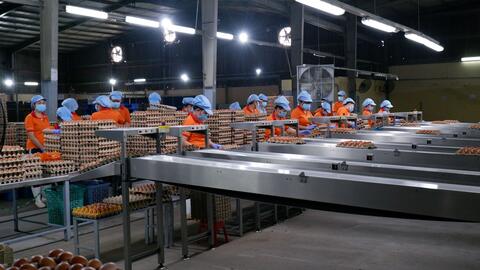 Bài 3: Nỗ lực xây dựng vùng an toàn dịch bệnh 