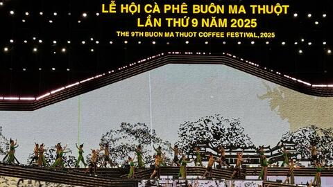 Tầm nhìn cho tương lai bền vững của ngành cà phê Việt Nam