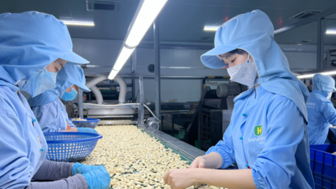 Tận dụng tốt hơn EVFTA để mở cửa thị trường cho hàng Việt Nam vào Litva