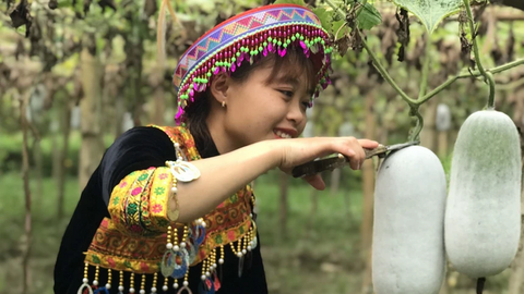 Nâng tầm sản vật miền núi bằng thương hiệu