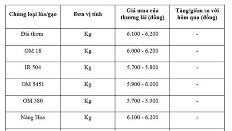 Giá lúa gạo hôm nay ngày 18/7: Gạo nguyên liệu xuất khẩu giảm