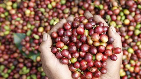 Tăng giá trị nông, thủy sản Việt bằng chế biến sâu và chuỗi liên kết bền vững