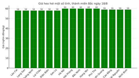Giá heo hơi hôm nay 18/8/2025: Tiếp đà giảm