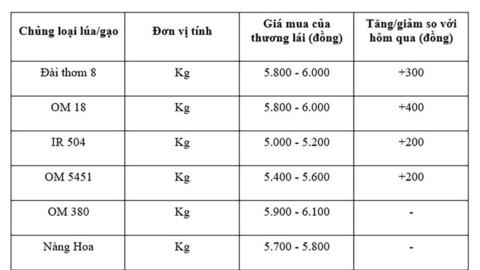 Giá lúa gạo hôm nay ngày 30/9: Lúa tươi đồng loạt tăng mạnh