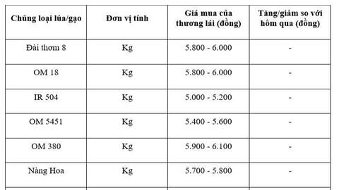 Giá lúa gạo hôm nay ngày 2/10: Lúa tươi có xu hướng giảm