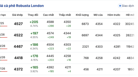 Giá cà phê hôm nay 6/10/2025: Trong nước đi ngang