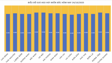 Giá heo hơi hôm nay 24/10/2025: Ổn định ở cả 3 miền