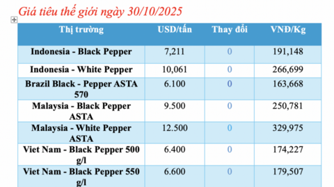 Giá tiêu hôm nay 30/10/2025: Tăng mạnh 1.000 đồng/kg