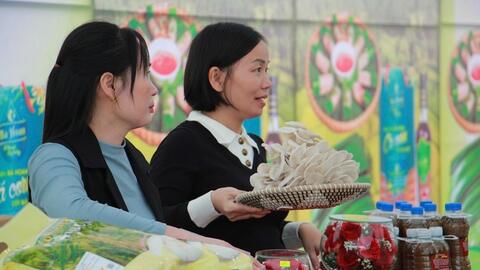 Thanh Hóa: Hàng trăm sản phẩm sạch quy tụ tại phiên chợ thực phẩm an toàn