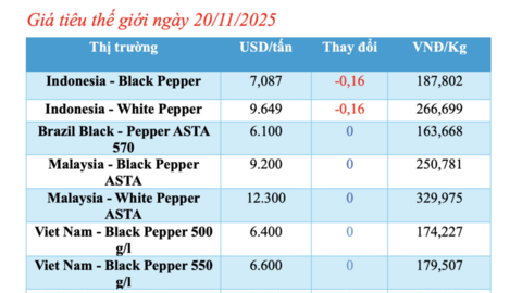 Giá tiêu hôm nay 20/11/2025: Neo ở mức cao