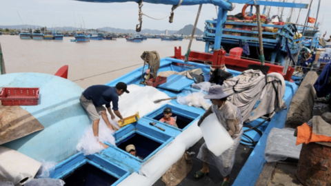 Đắk Lắk: 'Mạnh tay' với những tàu cá vi phạm khi vươn khơi