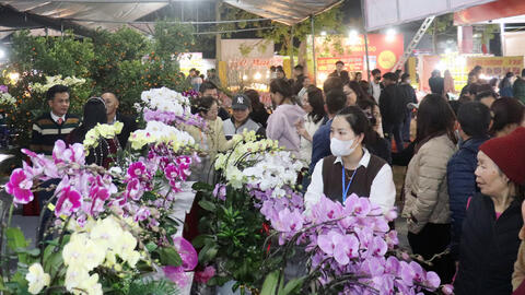 Hàng Việt lan tỏa về ngoại thành, giữ ổn định thị trường tết Bính Ngọ