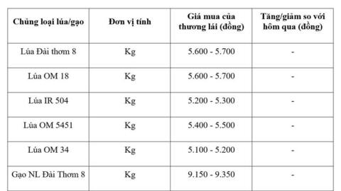 Giá lúa gạo hôm nay ngày 26/3: Gạo xuất khẩu đảo chiều tăng nhẹ