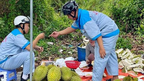 Sầu riêng hai giá: Cần giải pháp căn cơ để ổn định thị trường tiêu thụ